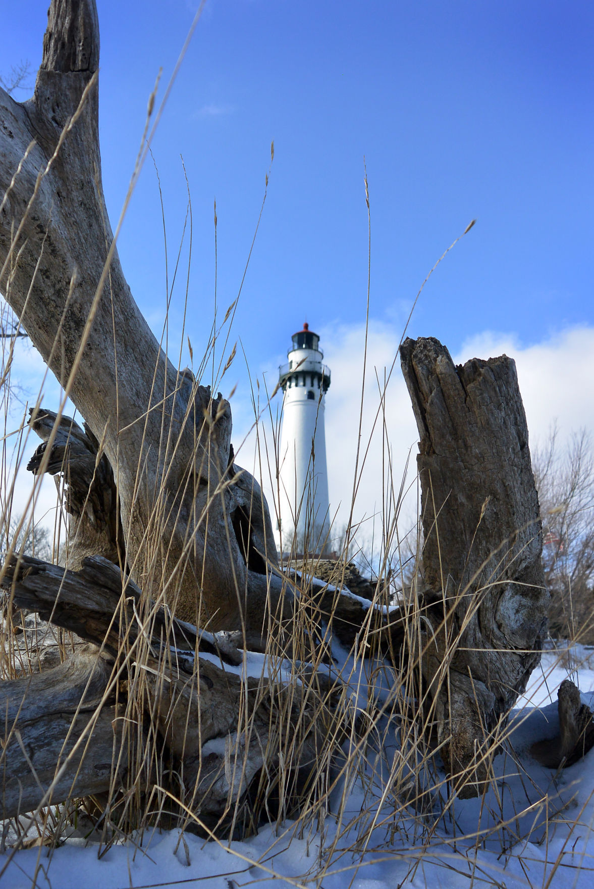 Lighthouse Feature.jpg